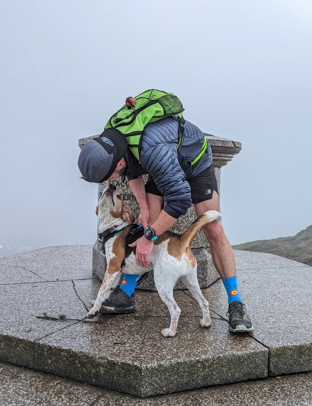 Dog competing in a canicross event